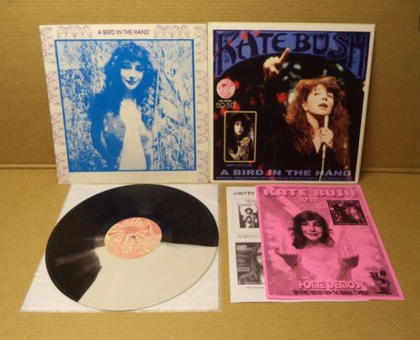 Photo1: Kate Bush -  A BIRD IN THE HAND - LP SPLIT WAX (1)