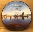 Photo2: Pink Floyd ‎– WISH YOU WERE HERE PICTURE DISC LP (2)