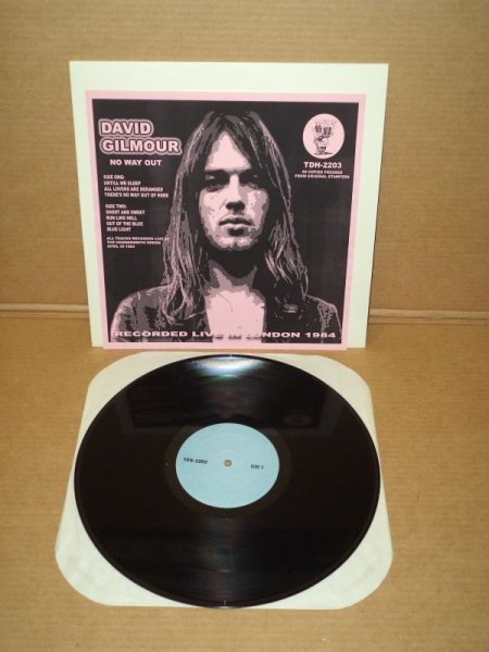 Photo1: David Gilmour - NO WAY OUT - LP (1)