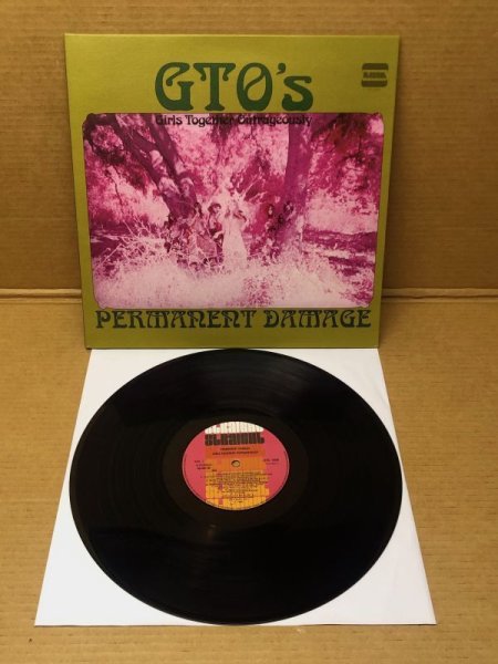 Photo1: GTO'S - PERMANENT DAMAGE - LP. Gatefold MINT (1)