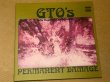 Photo3: GTO'S - PERMANENT DAMAGE - LP. Gatefold MINT (3)