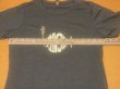 Photo2: Phish MGM Grand Garden Arena Tee Shirt Las Vegas 2018 Small NEW! (2)