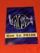 Photo1: PHISH - ORIGINAL 1997 GERMAN TOUR GUIDE "HOW TO PHISH" TOUR DATES. RARE! NM (1)