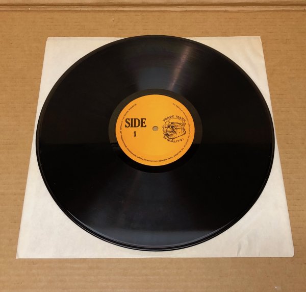 Photo5: Bob Dylan - While The Establishment Burns LP TMOQ #73005 (5)