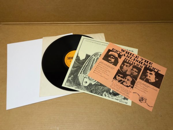 Photo2: Bob Dylan - While The Establishment Burns LP TMOQ #73005 (2)
