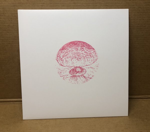 Photo9: PINK FLOYD / Syd Barrett - GYLLENE CIRKELN, STOCKHOLM SWEDEN 9-10-67 LP (9)