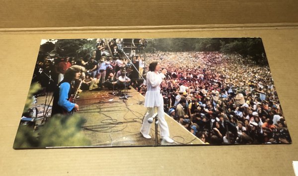 Photo5: ROLLING STONES - HYDE PARK 1969 - 2LP White Vinyl. The Swingin' Pig (5)