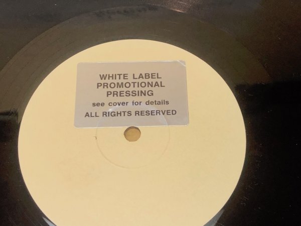 Photo2: ROLLING STONES - SO MUCH YOUNGER THEN - LP Swingin' Pig  (2)