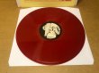 Photo3: Alice Cooper – Parricidal Slumbers - LP TAKRL #1932 (3)