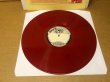 Photo2: Alice Cooper – Parricidal Slumbers - LP TAKRL #1932 (2)