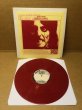 Photo1: Alice Cooper – Parricidal Slumbers - LP TAKRL #1932 (1)