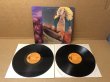 Photo1: Led Zeppelin - Knebworth '79 - 2LP. Phoenix Records 4478. Knebworth Festival, Stevenage, England on August 4th, 1979. (1)