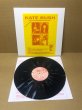 Photo1: Kate Bush - Cathy's home demos vol.1 LP SPLASH VINYL (1)