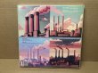 Photo2: Pink Floyd ‎– In The Flesh (The Best Of The 1977 US Tour) 4LP box colored vinyl (2)