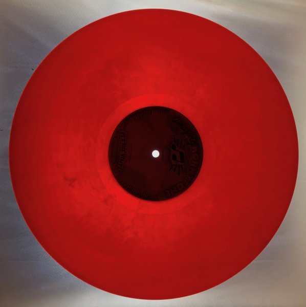 Photo10: Alice Cooper – Parricidal Slumbers - LP TAKRL #1932 (10)