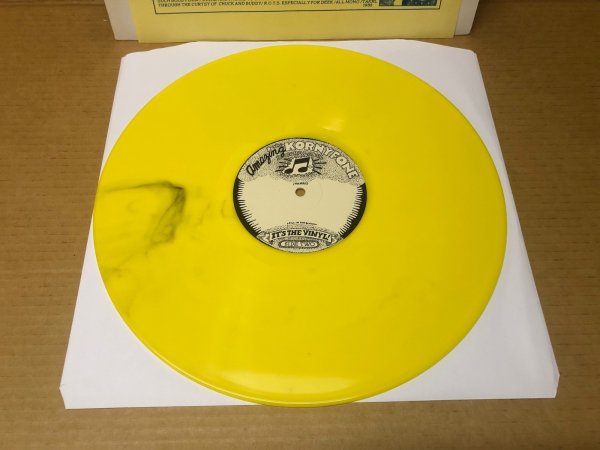 Photo2: Alice Cooper – Parricidal Slumbers - LP TAKRL #1932 (2)