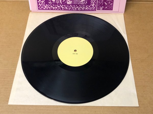 Photo2: Steely Dan - Rotoscope Down - LP. The Amazing Kornyfone Record Label – TAKRL 1924 (2)