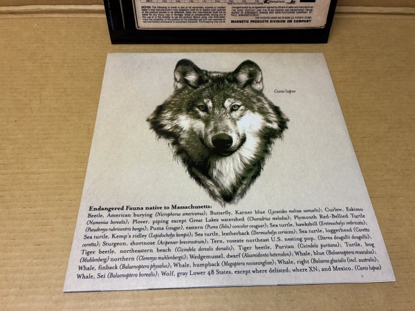 Photo7: Frank Zappa - Wazoo Joe's Domage 3LP Box Multicolored Vinyl  (7)