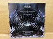 Photo2: Acid Mothers Temple & The Melting Paraiso UFO Dark Side Of The Black Moon 2LP (2)