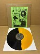 Photo6: Frank Zappa - Halloween 1972 LP RARE Split Vinyl COLORED #02.05 MINT RARE!! (6)