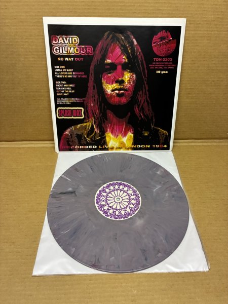 Photo10: David Gilmour - NO WAY OUT - LP MULTICOLORED VINYL (10)