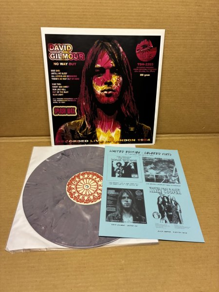 Photo1: David Gilmour - NO WAY OUT - LP MULTICOLORED VINYL (1)