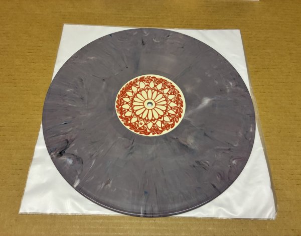 Photo3: David Gilmour - NO WAY OUT - LP MULTICOLORED VINYL (3)