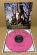 Photo1: Pink Floyd - The Embryo - LP. The Swingin' Pig. Pink Vinyl (1)