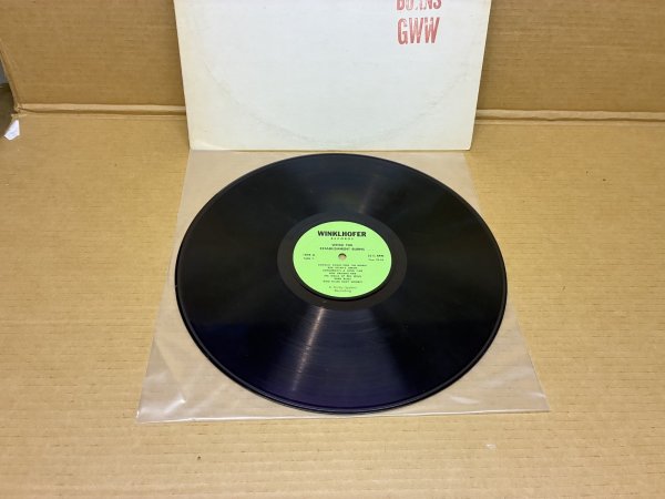 Photo3: Bob Dylan - While The Establishment Burns LP RARE Pre-TMOQ 73005  PURPLE Vinyl (3)