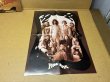 Photo10: Frank Zappa - Joe's Xmasage - LP. Multi-Colored Vinyl #84/100 (10)
