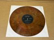 Photo5: Rolling Stones / Muddy Waters - Sweet Home Chicago 2LP COLORED Swingin' Pig (5)