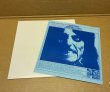 Photo5: Alice Cooper – Parricidal Slumbers - LP TAKRL #1932 (5)
