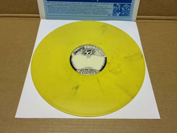 Photo2: Alice Cooper – Parricidal Slumbers - LP TAKRL #1932 (2)