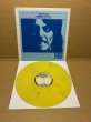 Photo1: Alice Cooper – Parricidal Slumbers - LP TAKRL #1932 (1)